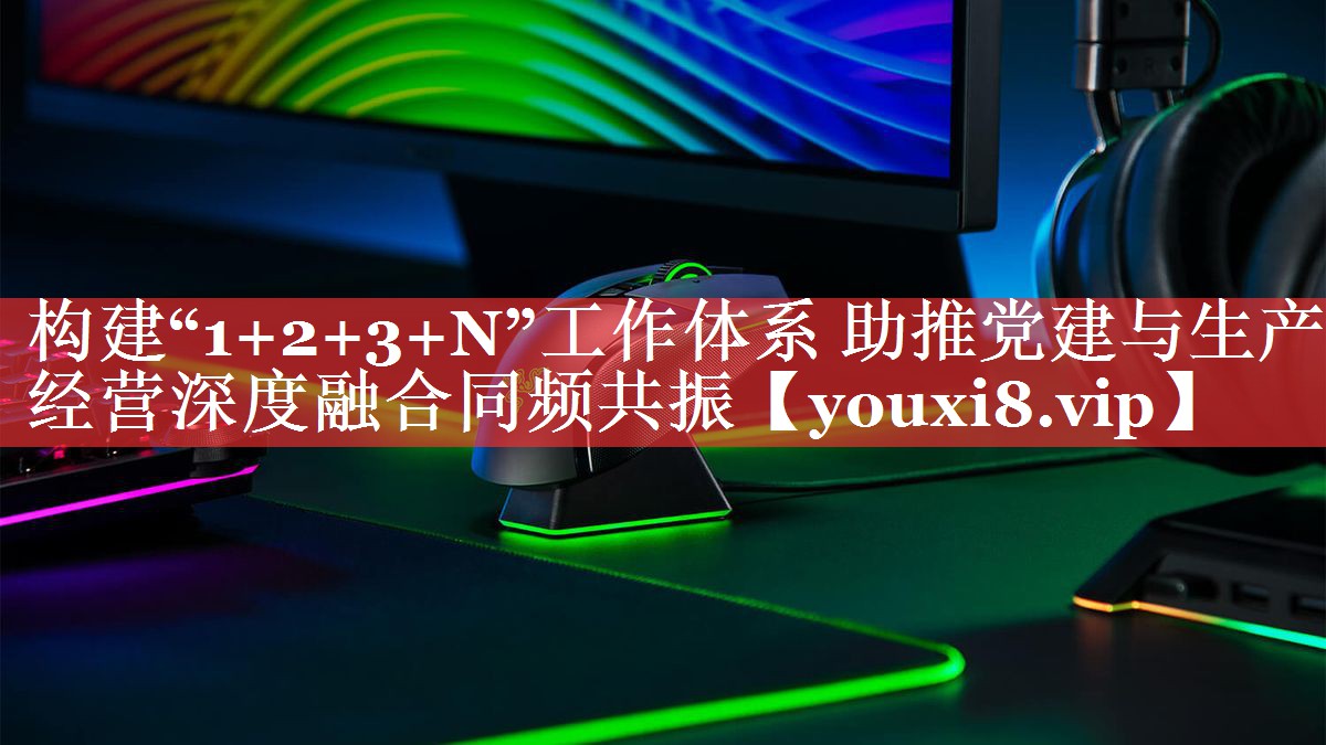 构建“1+2+3+N”工作体系 助推党建与生产经营深度融合同频共振