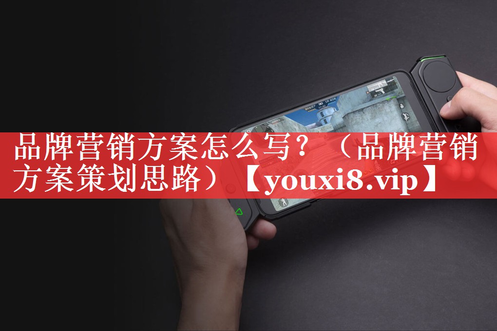 品牌营销方案怎么写？（品牌营销方案策划思路）